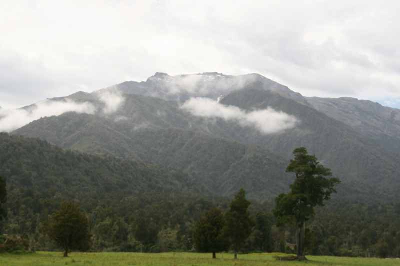 Nieuw-Zeeland 2011 - 1404